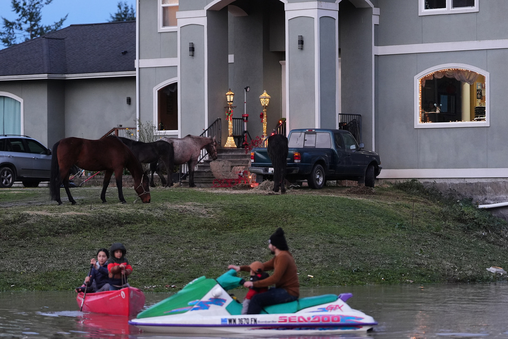 "E-man" Trujillo uses a jet-ski to pull his children in a canoe as the family's horses graze on high ground in near their front door after heavy rains led to historic flooding in the region Saturday, Dec. 13, 2025, in Burlington, Wash. (AP Photo/Lindsey Wasson)