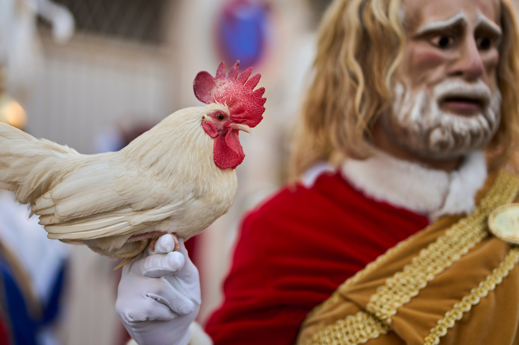 A penitent depicting an apostle marches holding a rooster during a Holy Week procession of the "Hermandad de Nuestro Padre Jesus Nazareno" brotherhood in Puente Genil, southern Spain, Friday, April 3, 2026. (AP Photo/Manu Fernandez)