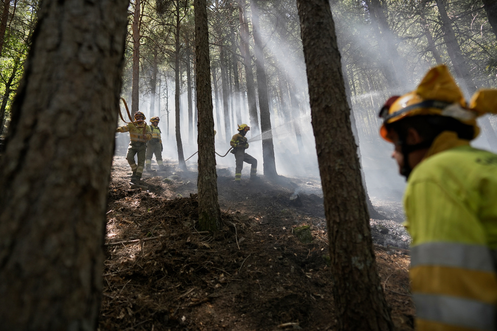 FILE - Forest rangers work in a wildfire-scorched area near Casillas, Avila province, Spain, July 30, 2026. (AP Photo/Olmo Calvo, File)