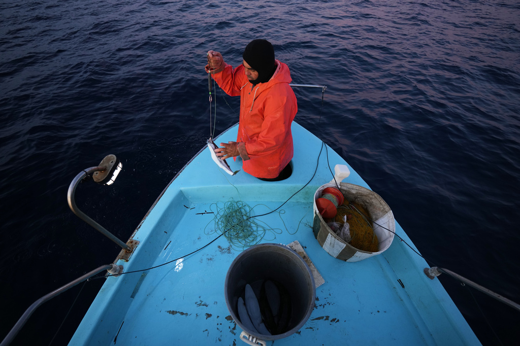 Fisherman Photis Gaitanos catches a toadfish while fishing from his boat off the coast of Larnaca, Cyprus, in the eastern Mediterranean, early Saturday, Dec. 20, 2025. (AP Photo/Petros Karadjias)