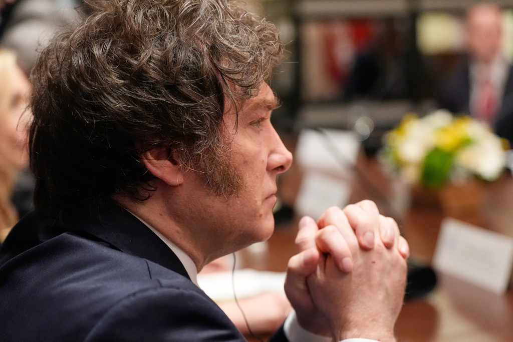 Argentina's President Javier Milei listens during a meeting with President Donald Trump in the Cabinet Room of the White House, Tuesday, Oct. 14, 2025, in Washington. (AP Photo/Alex Brandon)