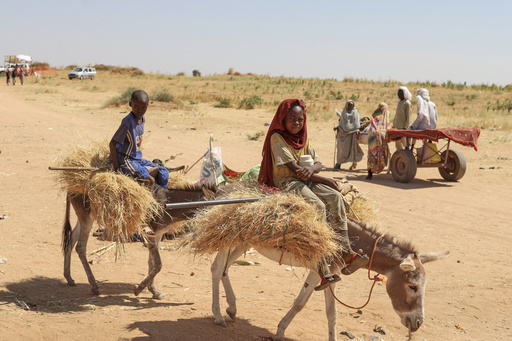 Sudanese who fled el-Fasher city, after Sudan's paramilitary forces killed hundreds of people in the western Darfur region, carry firewood at their camp in Tawila, Sudan, Wednesday, Oct. 29, 2025. (AP Photo/Muhnnad Adam) Sudanese who fled el-Fasher city, after Sudan's paramilitary forces killed hundreds of people in the western Darfur region, carry firewood at their camp in Tawila, Sudan, Wednesday, Oct. 29, 2025. (AP Photo/Muhnnad Adam)
