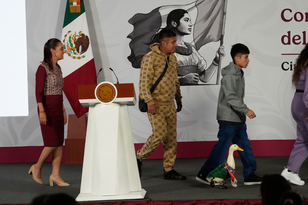 Merlin the duck, dressed in a Mexican national soccer team jersey, bottom right, enters the daily press conference by Mexican President Claudia Sheinbaum, left, with his caretakers, brothers Carlos and Christian Gomez, at the National Palace in Mexico City, Monday, June 22, 2026. (AP Photo/Marco Ugarte)