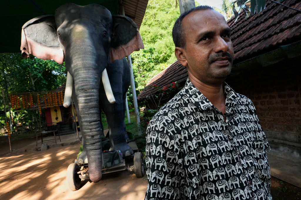 Rajkumar Namboothiri, the temple's head priest, stands next to the robotic elephant Irinjadapilly Raman at the Irinjadapilly Sree Krishna Temple in Thrissur, in the southern Indian state of Kerala, Friday, May 22, 2026. (AP Photo/Aijaz Rahi)
