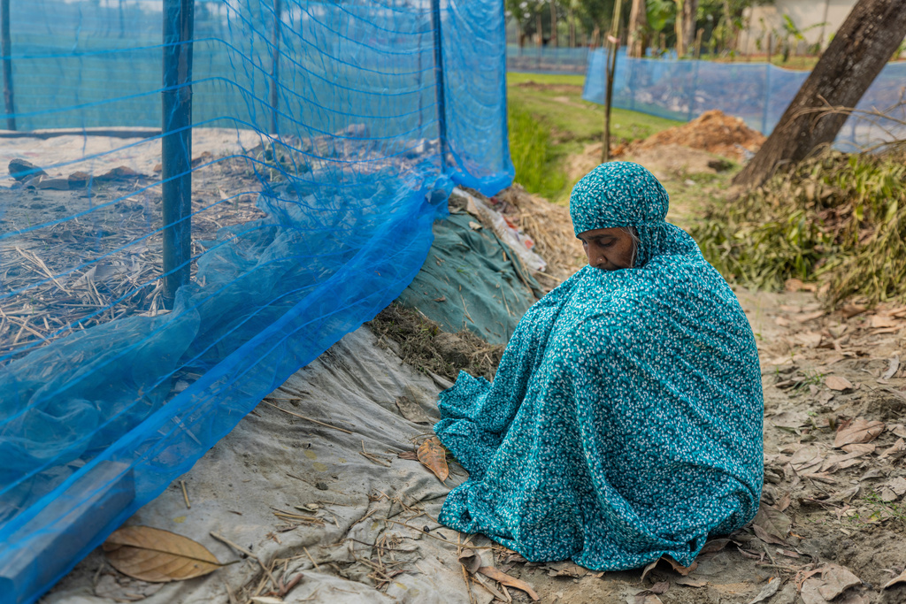 Shahida Khatun, mother of Mohammad Abdullah Al Mamun, sits beside her son's grave in Rasulpur village, Mymensingh district, Bangladesh, Friday, April 17, 2026. (AP Photo/Rajib Dhar)