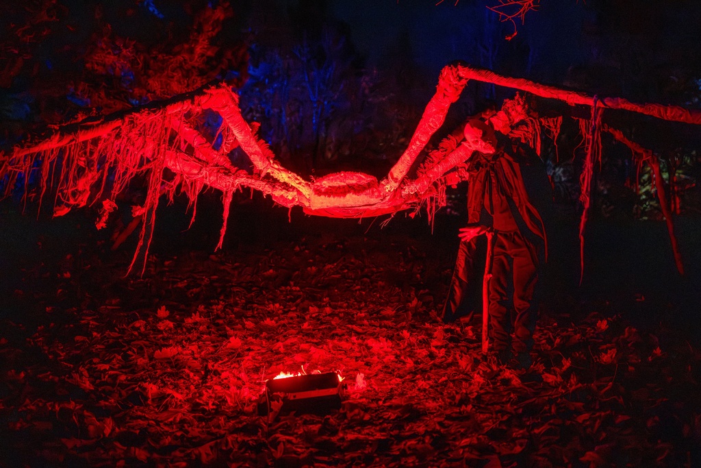 A reveler dressed in a costume poses during a Halloween celebration in Vilnius, Lithuanian, Sunday, Oct. 26, 2025. (AP Photo/Mindaugas Kulbis)