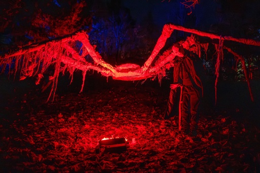 A reveler dressed in a costume poses during a Halloween celebration in Vilnius, Lithuanian, Sunday, Oct. 26, 2025. (AP Photo/Mindaugas Kulbis) A reveler dressed in a costume poses during a Halloween celebration in Vilnius, Lithuanian, Sunday, Oct. 26, 2025. (AP Photo/Mindaugas Kulbis)