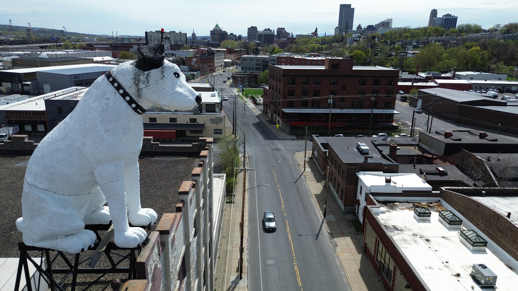 A giant statue of Nipper the dog sits atop a building in the warehouse district in Albany, N.Y., Tuesday, April 21, 2026. (AP Photo/Ted Shaffrey)
