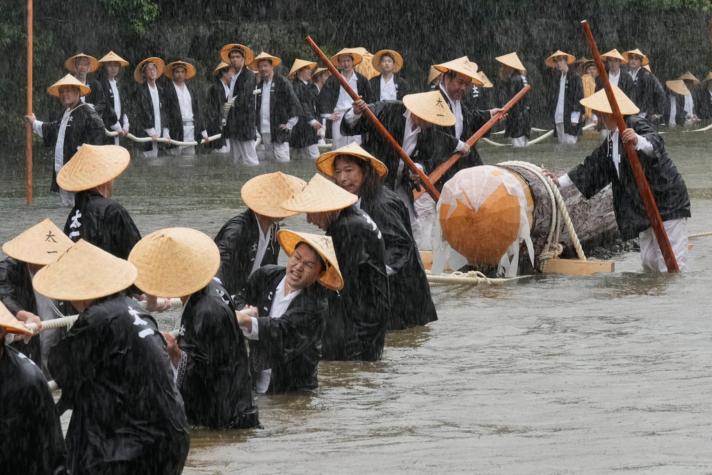 People carry a hinoki timber, Japanese cypress, into the Kotaijingu, also known as Naiku, or the inner sanctuary of the Ise Jingu shrine complex, during a festivity called Mihishirogi Hoeishiki in Ise, central Japan, Monday, June 9, 2025. (AP Photo/Hiro Komae)