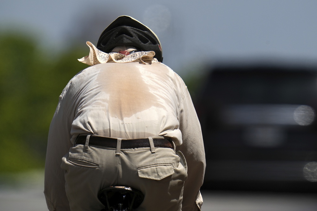 FILE - Sweat shows through the shirt of a cyclist pedaling up a hill July 23, 2025, in St. Louis. (AP Photo/Jeff Roberson, File)