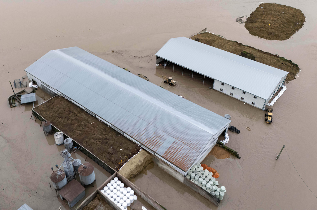 Floodwaters surround barns in Abbotsford, British Columbia, on Thursday, Dec. 11, 2025. (Ethan Cairns/The Canadian Press via AP)