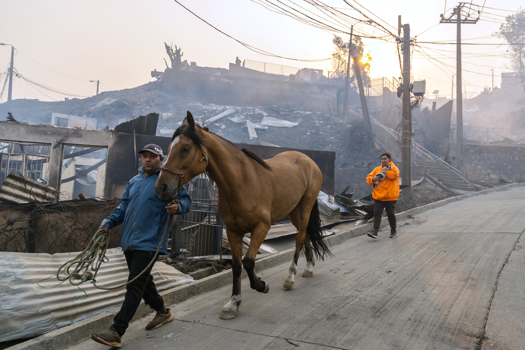 A man leads his horse past homes burned by wildfires near Lirquen, Chile, Sunday, Jan. 18, 2026. (AP Photo/Javier Torres)