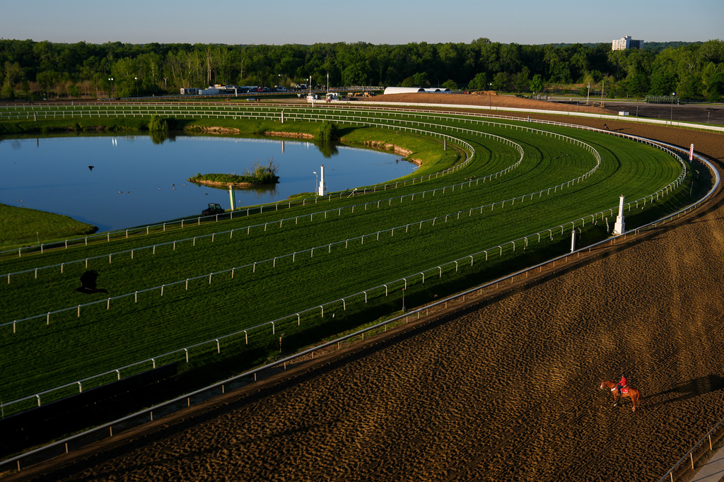 A horse works out at Laurel Park during sunrise, Friday, May 8, 2026, in Laurel, Md. (AP Photo/Julia Demaree Nikhinson)