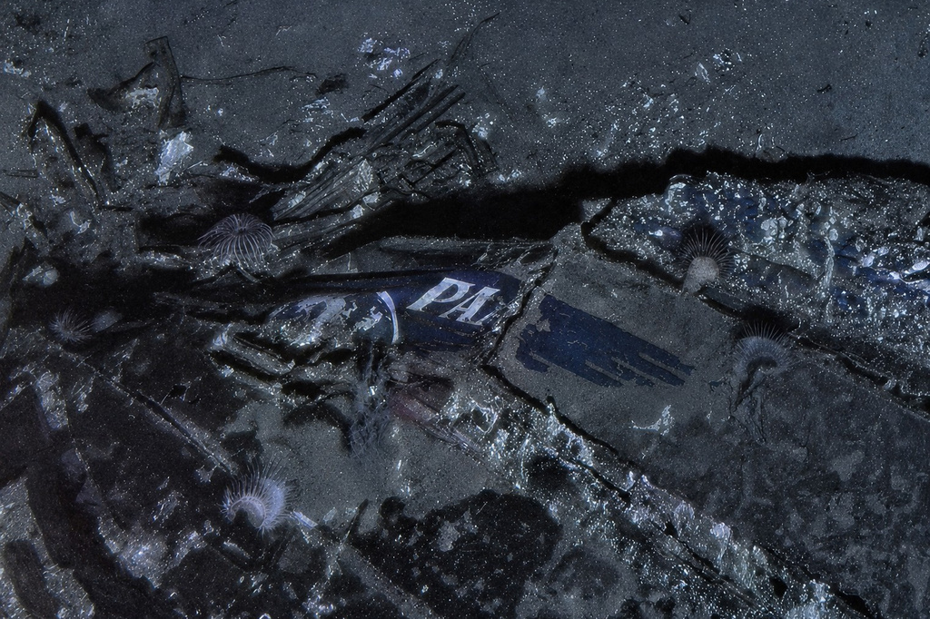 This undated composite image provided by Air/Sea Heritage Foundation and Deep Sea Vision on Tuesday, July 21, 2026, shows a Pan American World Airways logo on the nose section of the Clipper Endeavor wreck. (Air/Sea Heritage Foundation and Deep Sea Vision via AP)
