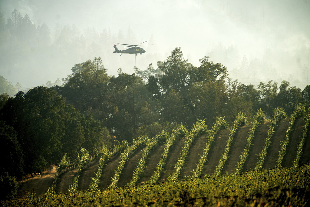 A helicopter flies behind a vineyard while battling the Pickett Fire in the Aetna Springs area of Napa County, Calif., on Sunday, Aug. 24, 2025. (AP Photo/Noah Berger)