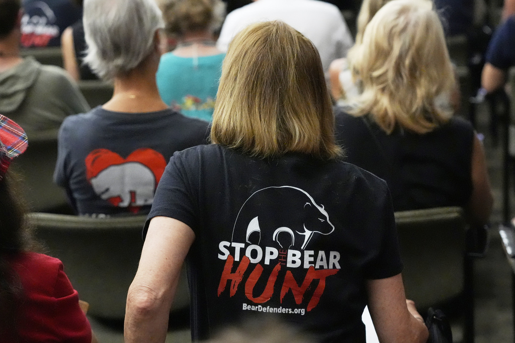 FILE - Citizens attending a Florida Fish & Wildlife Commission hearing about proposed bear hunting wear t-shirts against legalized bear hunting in the state, May 21, 2025, in Ocala, Fla. (AP Photo/John Raoux, File)