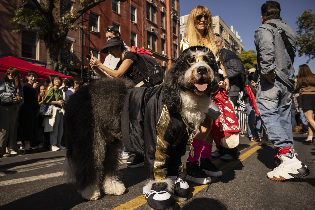 Pups on parade Dogs dressed to the nines for annual New York City