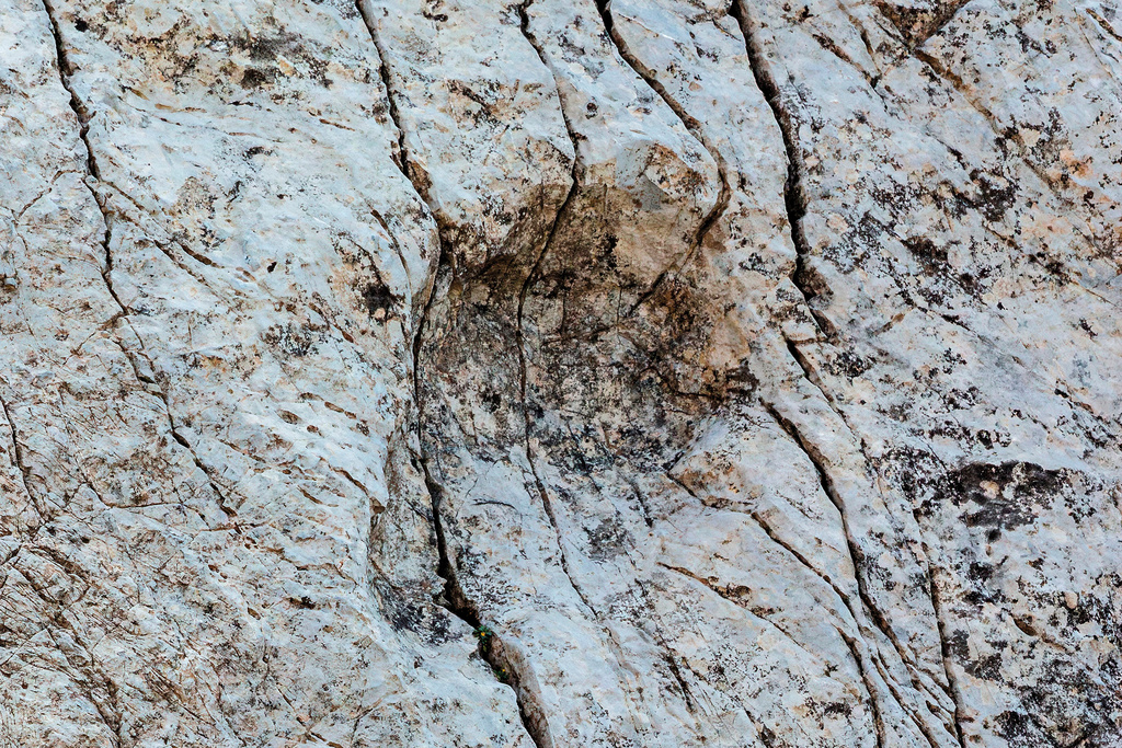This photograph, taken in September 2025 and released Tuesday, Dec. 16, 2025, by Stelvio National Park, shows a Late Triassic prosauropod footprint discovered in the Fraele Valley in northern Italy. (Elio Della Ferrara/Stelvio National Park via AP)