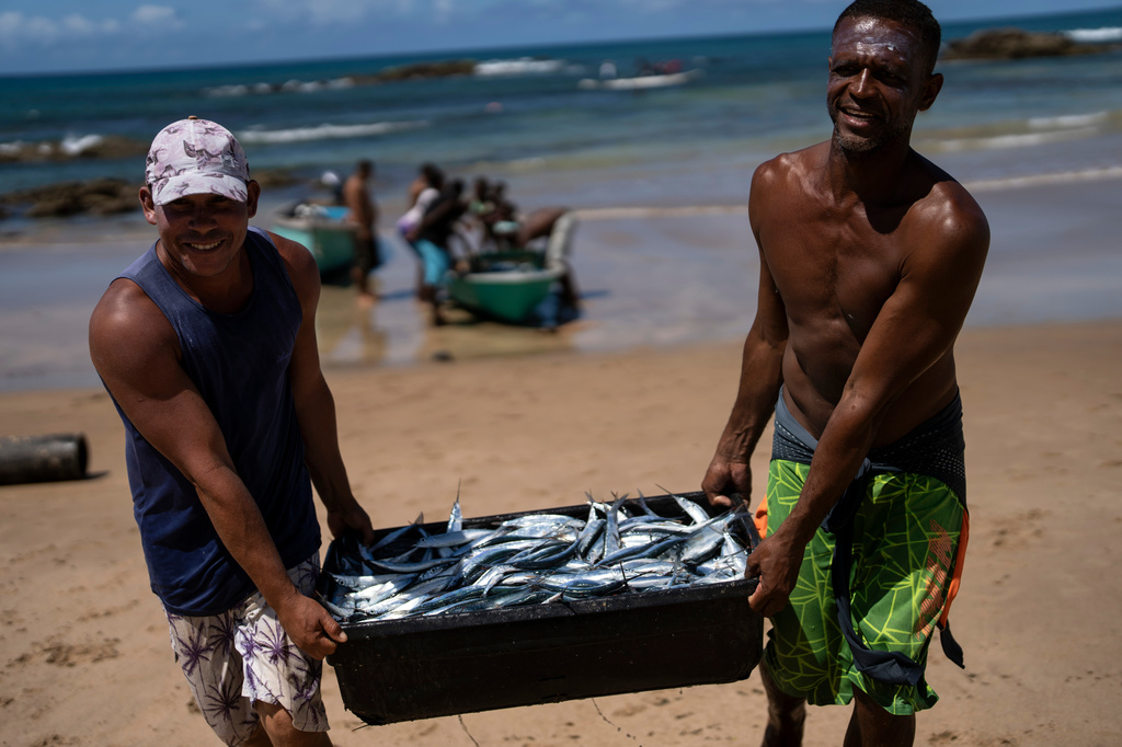 FILE - Fishermen carry their catch of the day to the beach in Salvador, Bahia state, Brazil, Sept. 15, 2022. (AP Photo/Rodrigo Abd, File)