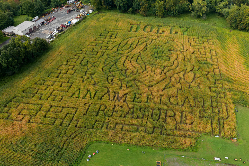 A portrait of Dolly Parton fills a 5-acre corn maze at Twins BBQ Co. in Brookfield, Conn., on Sunday, Sept. 13, 2026. (AP Photo/Ted Shaffrey)
