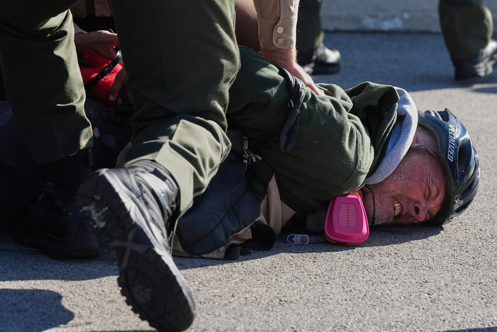 Illinois State Police and Broadview Police detain a protester outside an ICE processing facility in the Chicago suburb of Broadview, Ill., Friday, Nov. 14, 2025. (AP Photo/Nam Y. Huh)