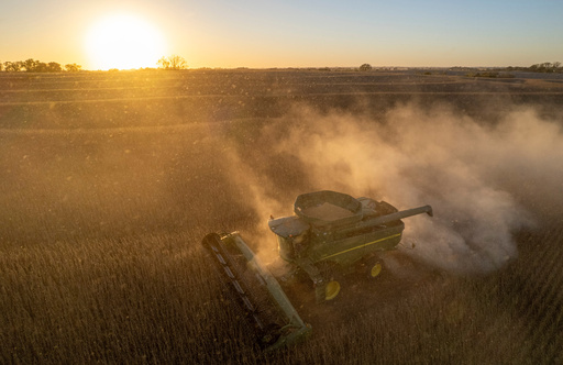 Rodney Egger harvests soybeans with a combine on Wednesday, Oct. 22, 2025, south of Lincoln, Neb. (Arthur H. Trickett-Wile/Lincoln Journal Star via AP) Rodney Egger harvests soybeans with a combine on Wednesday, Oct. 22, 2025, south of Lincoln, Neb. (Arthur H. Trickett-Wile/Lincoln Journal Star via AP)