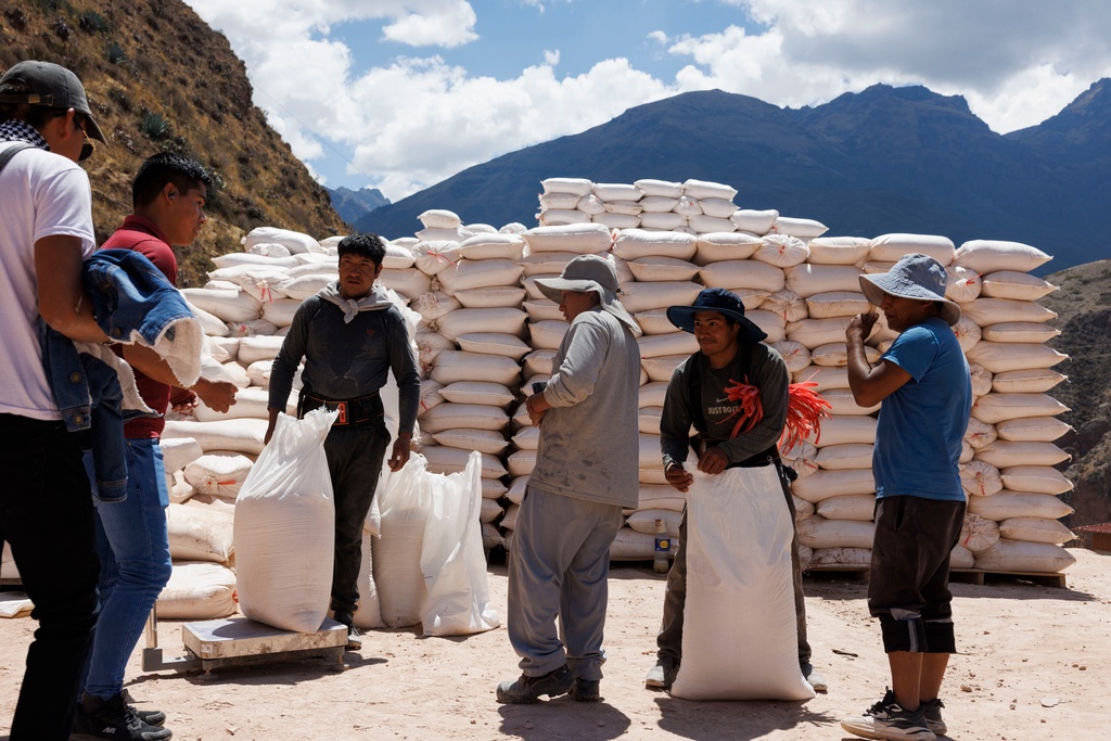 Florencio, second from the right, ties up a bag of salt after weighing it at Salineras de Maras, Maras salt mines, in the Sacred Valley, near Cusco, Peru on Sunday, Aug. 31, 2025. Each bag weighs about 50kg. (AP Photo/Alie Skowronski)