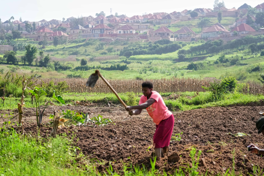 A farmer prepares the soil for planting at a farm in Kigali, Rwanda, March 17, 2026. (AP Photo/Brian Inganga)