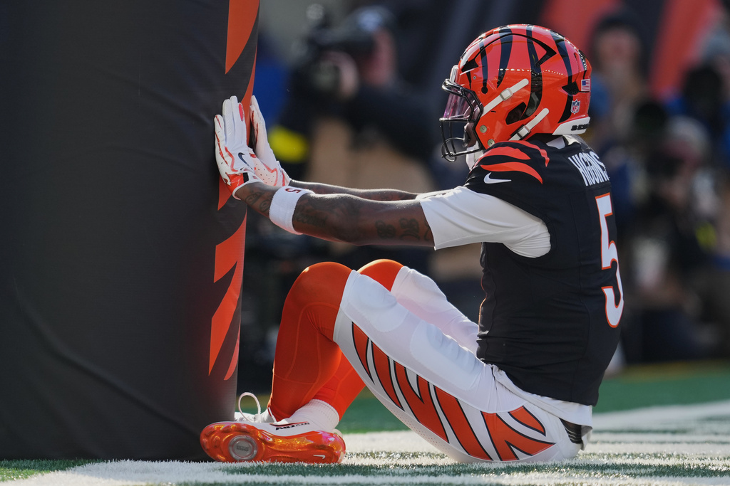 Cincinnati Bengals wide receiver Tee Higgins celebrates after scoring against the Cleveland Browns during the first half of an NFL football game, Sunday, Jan. 4, 2026, in Cincinnati. (AP Photo/Jeff Dean)