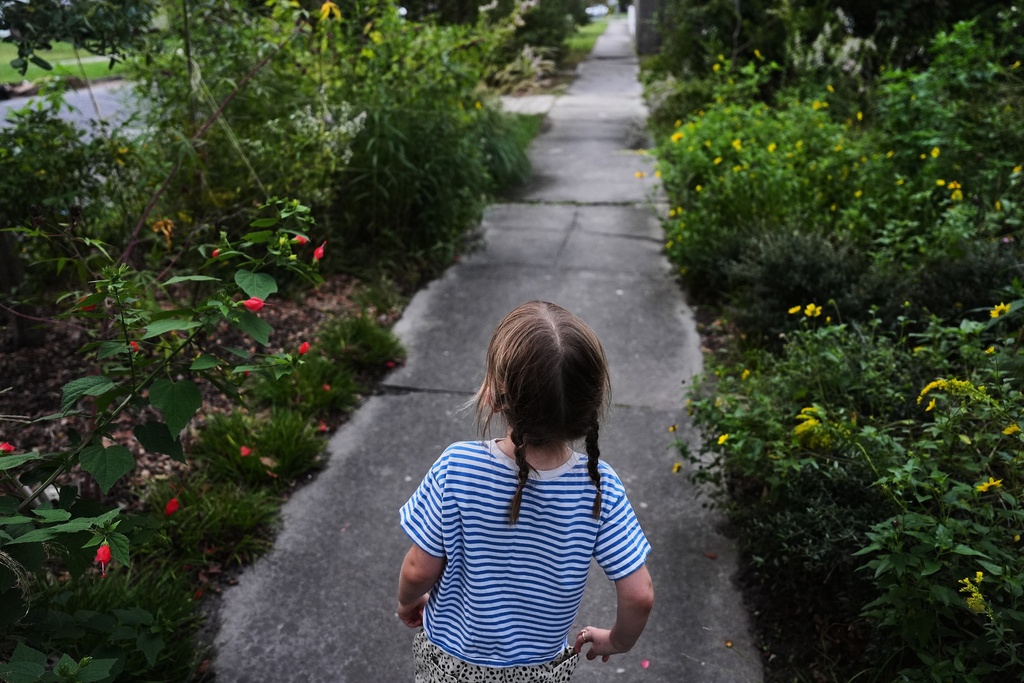 Land Caldwell, 5, walks through a pollinator garden, Tuesday, Oct. 7, 2025, at her home in Charleston, S.C. (AP Photo/Joshua A. Bickel)