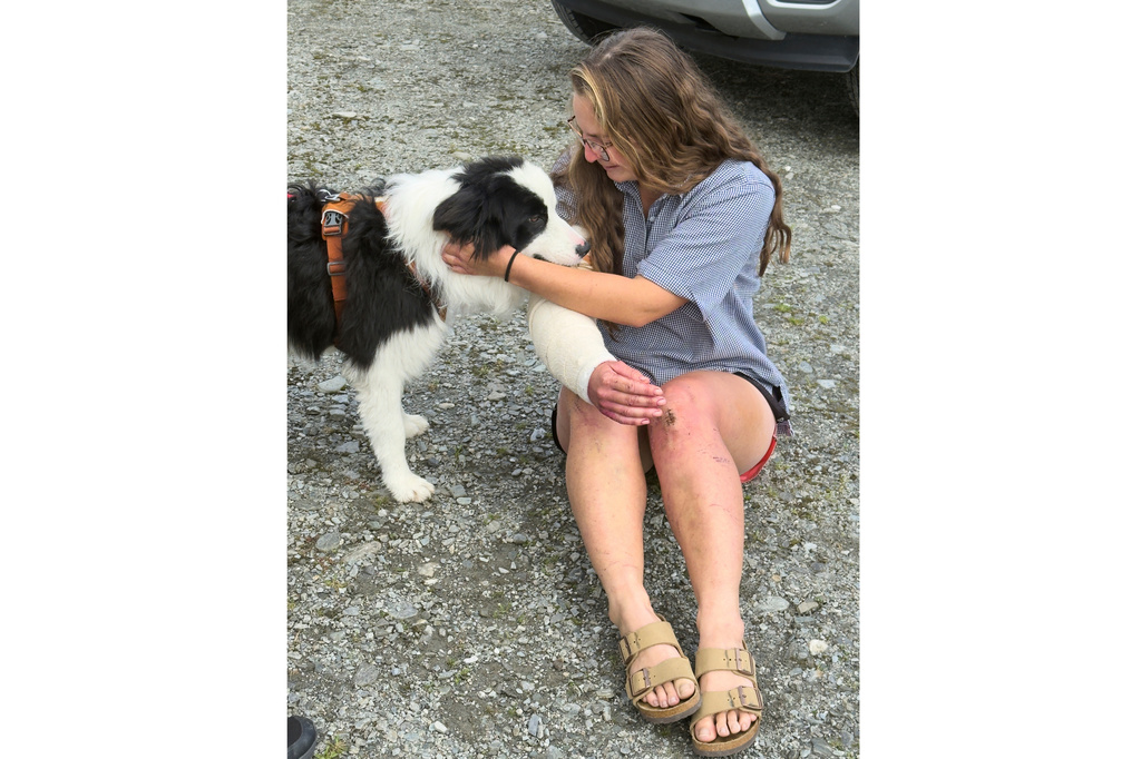 In this photo released by Precision Helicopters Ltd, Molly is reunited with her owner Jessica Johnston after her rescue from a waterfall on the Arahura River on the West Coast of the South Island of New Zealand, Tuesday, March 31, 2026. (Precision Helicopters Ltd via AP)
