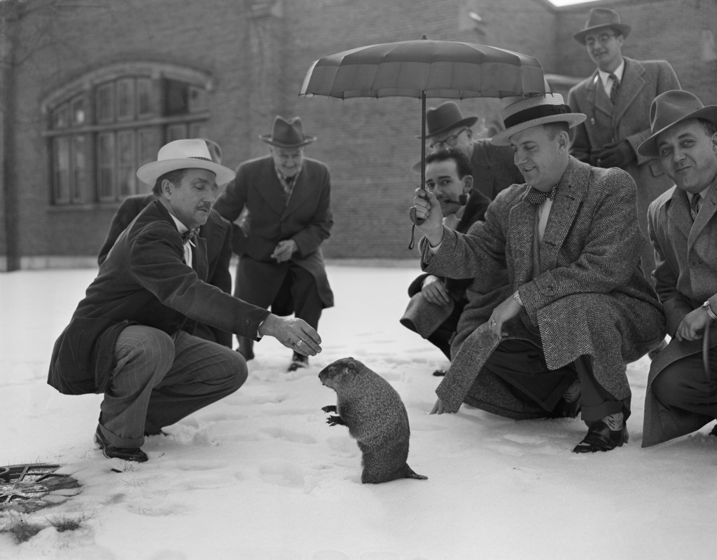 FILE - The groundhog saw his shadow, Feb. 2, 1954, as the sun peeked through an overcast sky at Washington Park Zoo in Milwaukee, Wis. (AP Photo/Dwayne Newton, File)