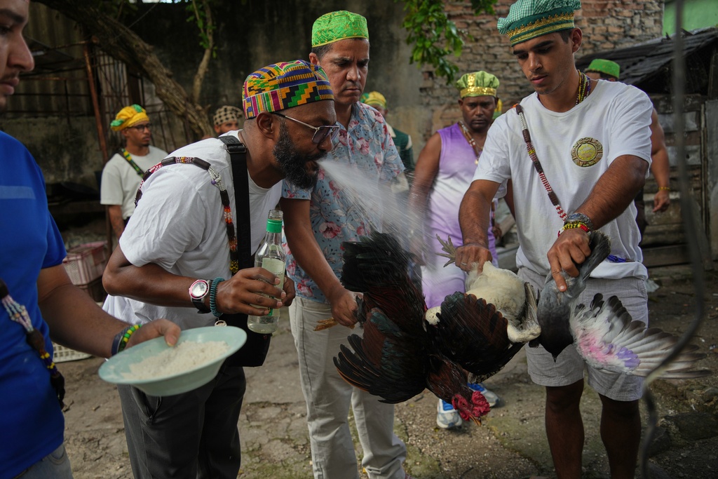 Santeria priests, also known as Babalawos, perform a cleansing ritual with roosters during a ceremony calling for peace and health in Havana, Sunday, Jan. 25, 2026. (AP Photo/Ramon Espinosa)