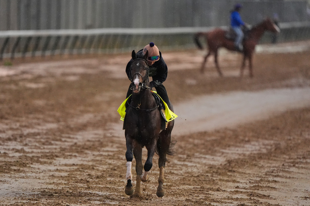 Kentucky Derby alternate Ocelli works out at Churchill Downs Wednesday, April 29, 2026, in Louisville, Ky. (AP Photo/Charlie Riedel)