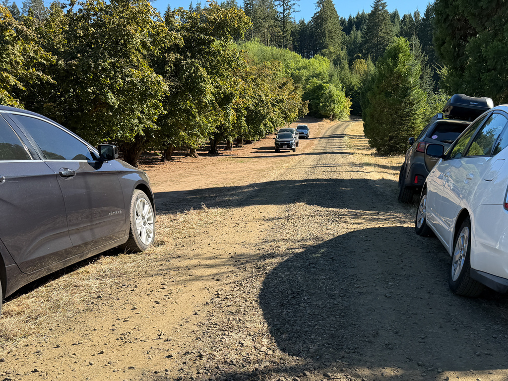 Law enforcement vehicles line the gravel road near the home where police are investigating a mass killing in unincorporated Washington County near Forest Grove, Ore., Sunday, Aug. 23, 2026. (Mark Graves/The Oregonian via AP)