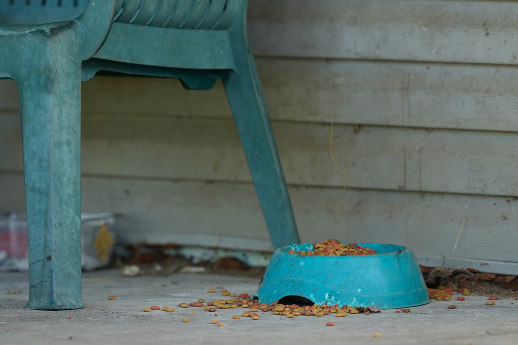 A bowl of dog food is seen on the side porch of a home where authorities say they removed 16 children and arrested four adults in Hamden, Ohio, Wednesday, July 1, 2026. (AP Photo/Carolyn Kaster)