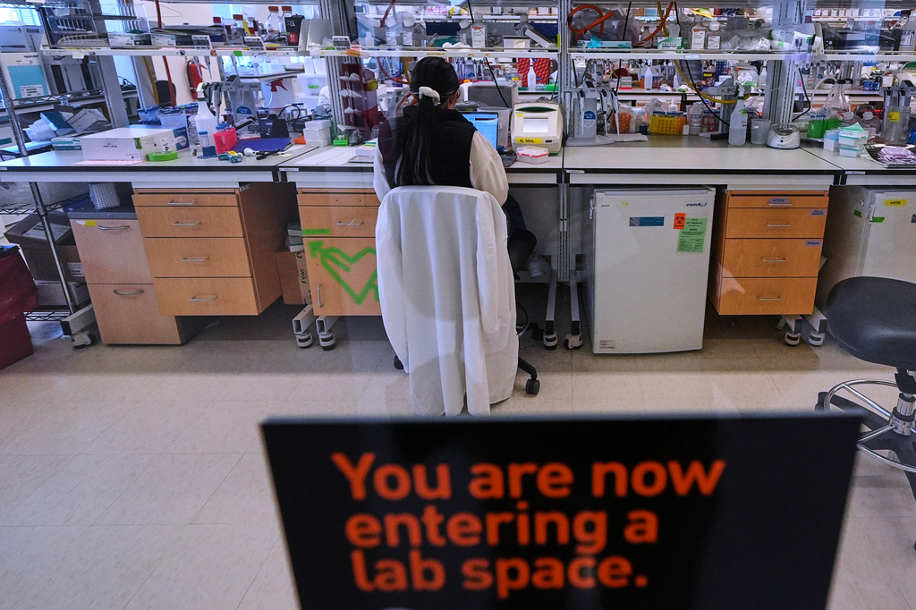 A scientist works in the Stanley Center for Psychiatric Research laboratory space at the Broad Institute, Tuesday, March 17, 2026, in Cambridge, Mass. (AP Photo/Charles Krupa)