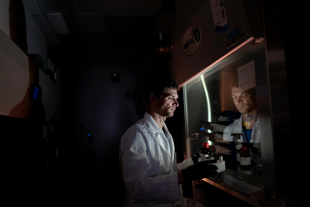 Dr. William Ambler, a translational research scholar who studies how biological sex affects the risk of autoimmune diseases, poses for a portrait while preparing a solution in the lab where he works at the National Institutes of Health, Monday, Aug. 25, 2025, in Bethesda, Md. "I'm fascinated in autoimmunity in general because the causes of it are so misunderstood. There is so much area to understand for treatment and hopefully prevention. What we're doing is very fundamental and has implications beyond autoimmunity. I do feel like we're at an inflection point of some sorts." (AP Photo/David Goldman)