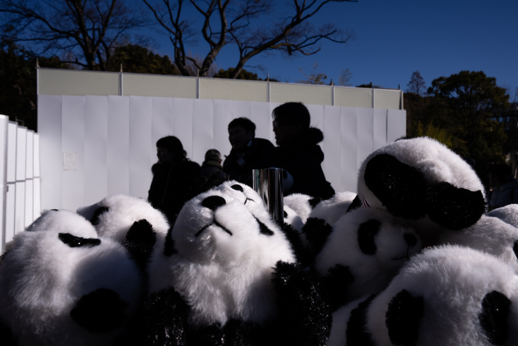 Visitors walk past panda-themed items at a souvenir store in Ueno Zoo in Tokyo, Sunday, Jan. 25, 2026. (AP Photo/Louise Delmotte)