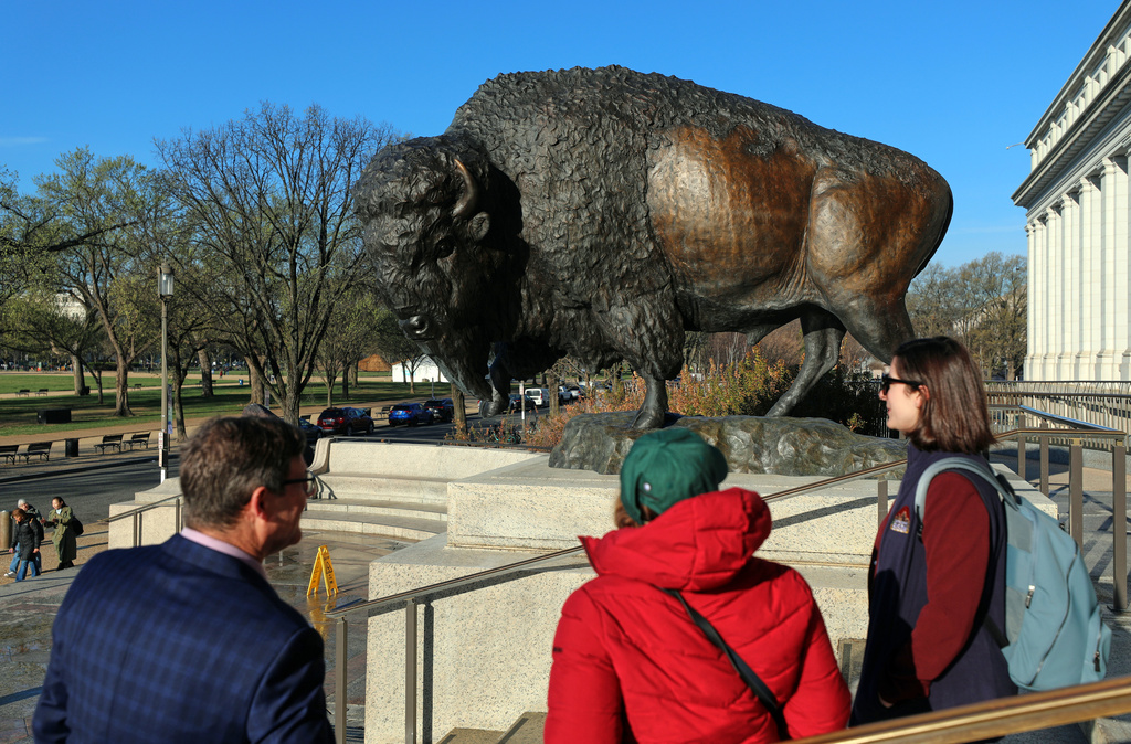 Bison statues cast in bronze are on permanent display outside the Smithsonian's National Museum of Natural History, Friday, March 20, 2026, in Washington. (AP Photo/Rahmat Gul)