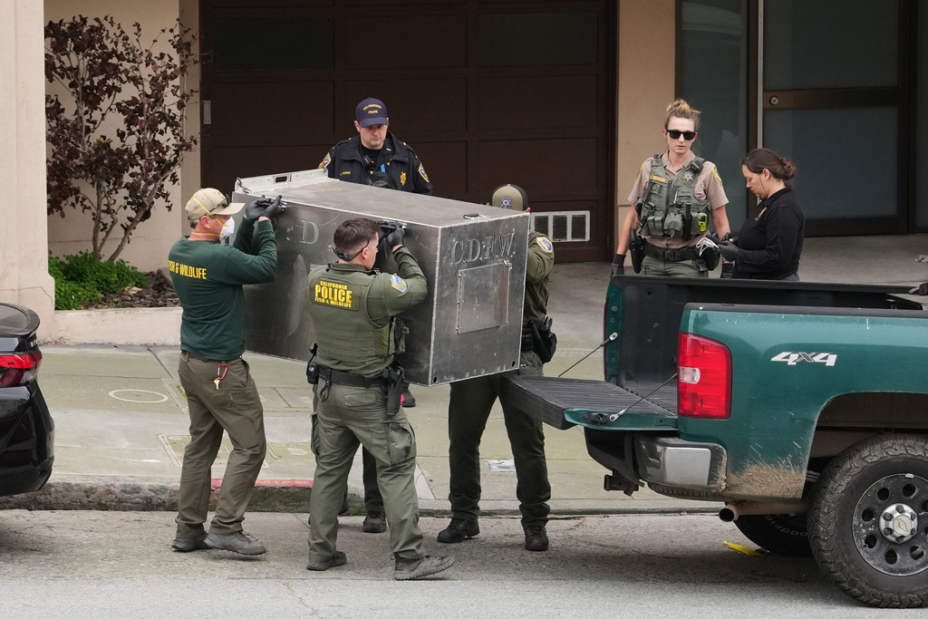 California Fish and Wildlife officials carry a tranquilized mountain lion in a cage after it was captured on Tuesday, Jan. 27, 2026, in San Francisco. (AP Photo/Andy Bao)