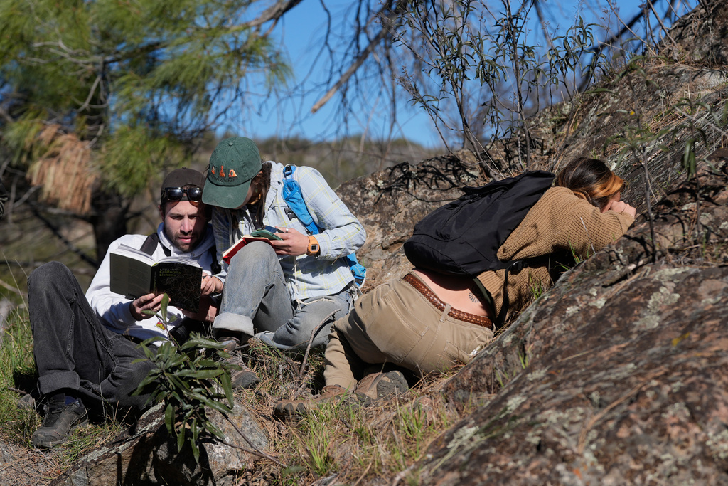 University of California, Berkeley students Daniel Clarke, left, Natalia Rovira and Sarah Campbell take part in a California Lichen Society field trip at the University of California, Davis' McLaughlin Reserve in Lower Lake, Calif., Saturday, Jan. 24, 2026. (AP Photo/Jeff Chiu)