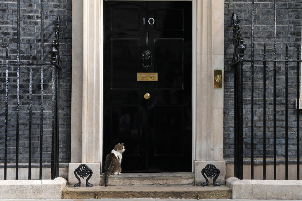 Larry the cat, Chief Mouser to the Cabinet Office, sits on the doorstep to No10 Downing Street as Labour Party leader Andy Burnham is set to become the U.K.'s new prime minister on Monday, succeeding Keir Starmer in London, Monday, July 20, 2026.(AP Photo/Kirsty Wigglesworth)