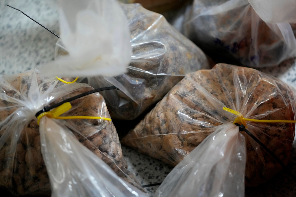Bags containing soil and sediment samples collected during federal police operations against illegal mining are stored for forensic analysis at the National Institute of Criminalistics in Brasilia, Brazil, Monday, July 13, 2026. (AP Photo/Eraldo Peres)