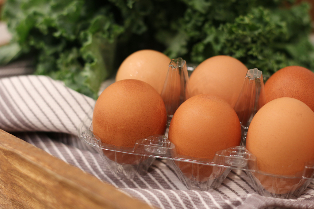 Groceries lay on a kitchen counter before being sorted for storage in the pantry and refrigerator Oct. 25, 2025, in Flagstaff, Ariz. (AP Photo/Cheyanne Mumphrey)