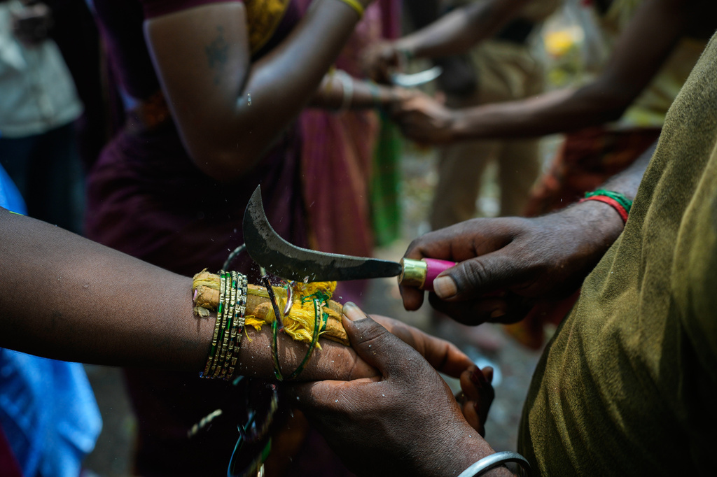 Priests break the bangles of transgender participants during a ritual signifying the end of their symbolic marriage to the Hindu god Aravan at the Koovagam festival in the Kallakurichi district of the southern Indian state of Tamil Nadu, Wednesday, April 29, 2026. (AP Photo/Mahesh Kumar A.)