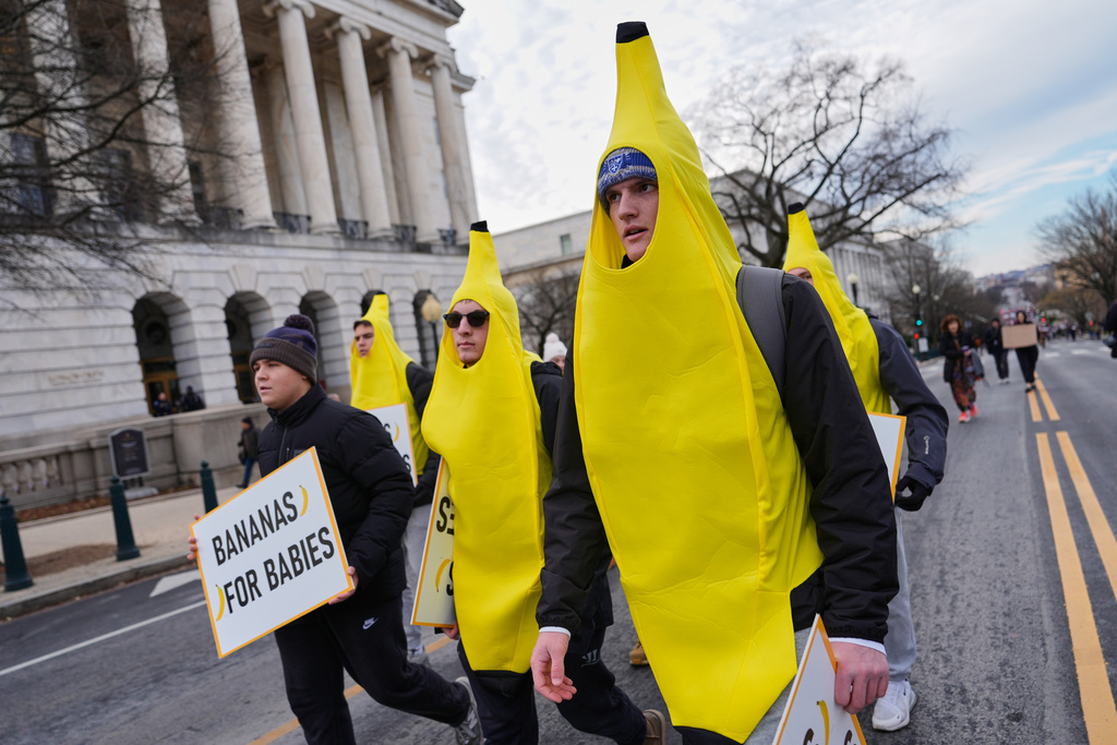 Anti-abortion demonstrators walk to the Supreme Court during the annual March for Life, Friday, Jan. 23, 2026, in Washington. (AP Photo/Julia Demaree Nikhinson)