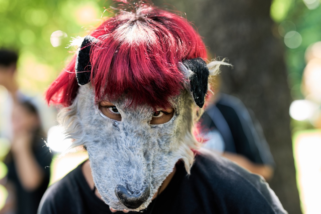 A youth wears a dog mask during a gathering of therians, people who say they identify as non-human animals, in Buenos Aires, Argentina, Sunday, Feb. 22, 2026. (AP Photo/Rodrigo Abd)