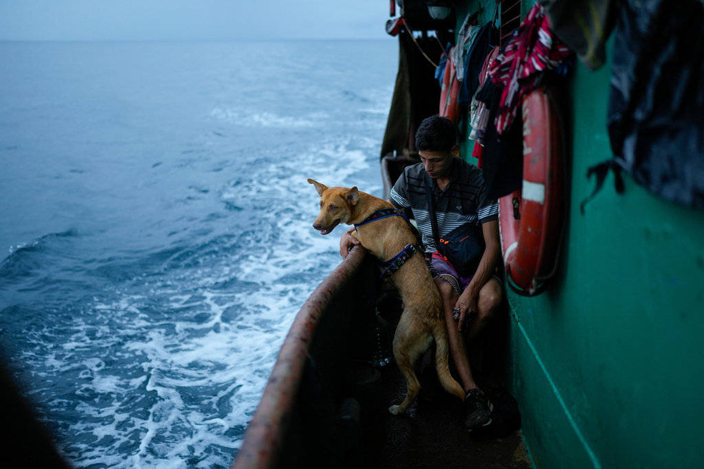 FILE - Venezuelan Abraham Castro rides a cargo vessel with other Venezuelan migrants through the Gulf of Panama as he, his partner and her two sons travel south after giving up on reaching the United States, Sept. 17, 2025. (AP Photo/Matias Delacroix, File)