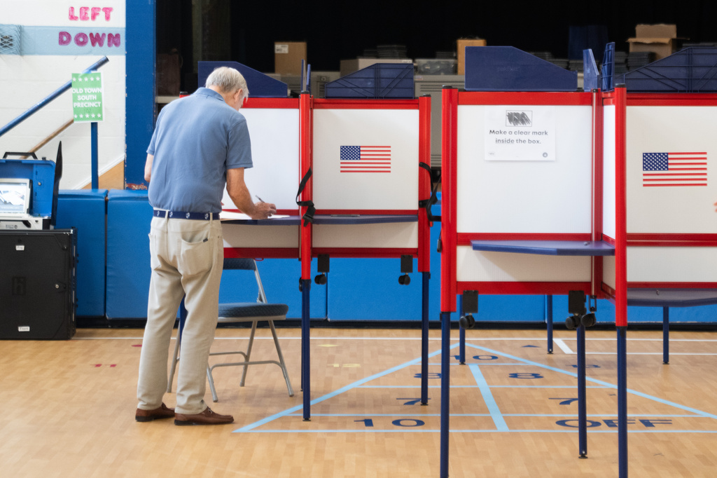 An individual votes at Lyles-Crouch Traditional Academy during the Virginia primary election, Tuesday, Aug. 4, 2026, in Alexandria, Va. (AP Photo/Allison Robbert)